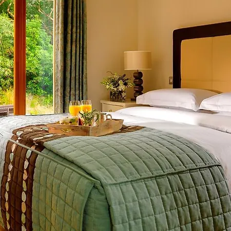 The Woodland At Parknasilla