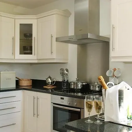 The Woodland At Parknasilla